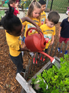 toddler daycare Brandon